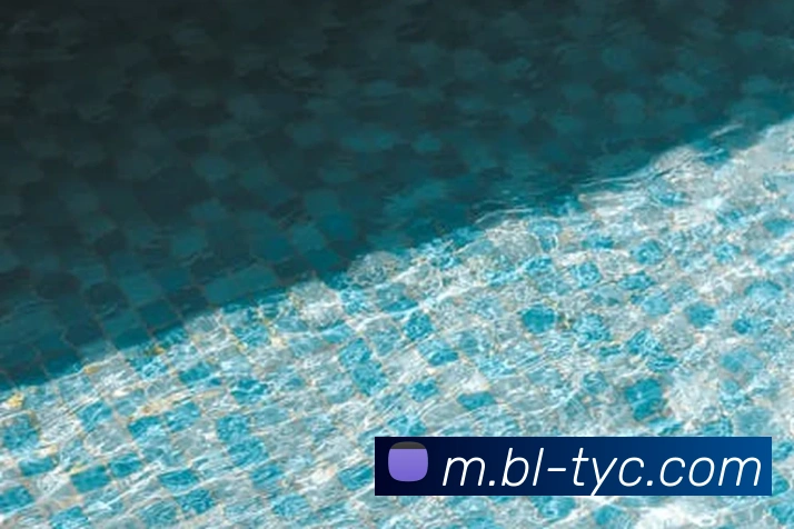 太阳城娱乐平台生态图